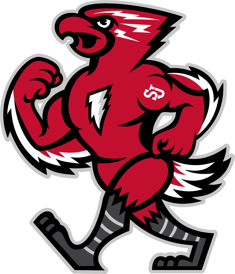 St. John's Red Storm 2013-2015 Mascot Logo iron on transfers for clothing